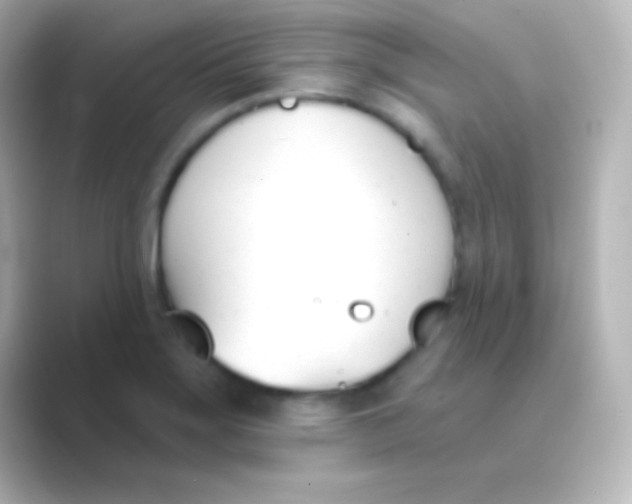 X0000088711275200706211956