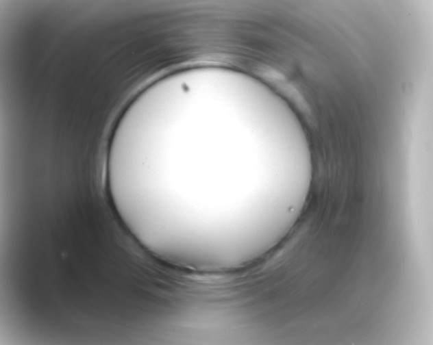 X0000088711276200706211956