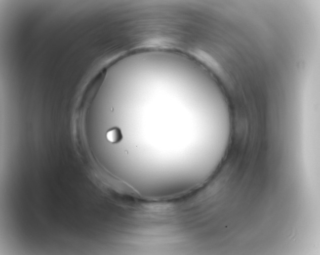 X0000088711277200706211956