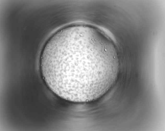 X0000088711279200706211956