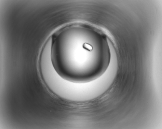 X0000088711287200706211956