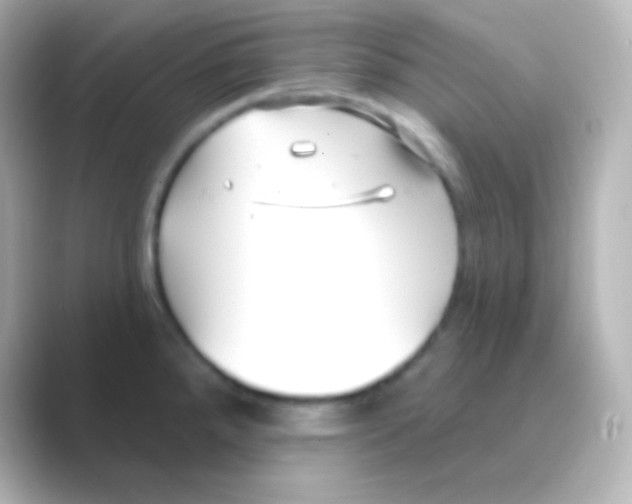 X0000088711288200706211956