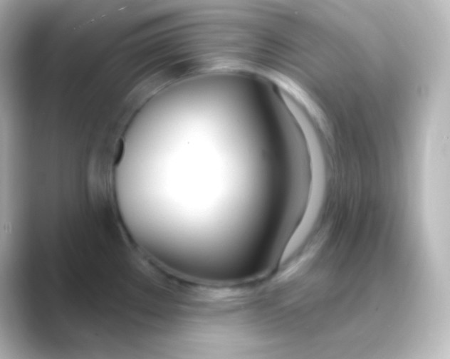 X0000088711289200706211956