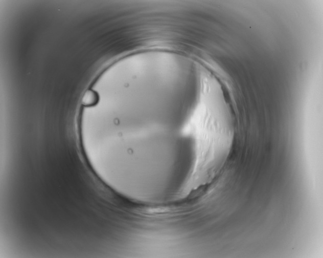 X0000088711291200706211956