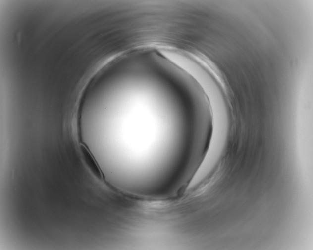 X0000088711293200706211956