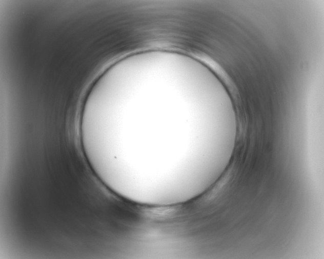 X0000088711294200706211956