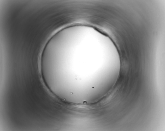 X0000088711295200706211956