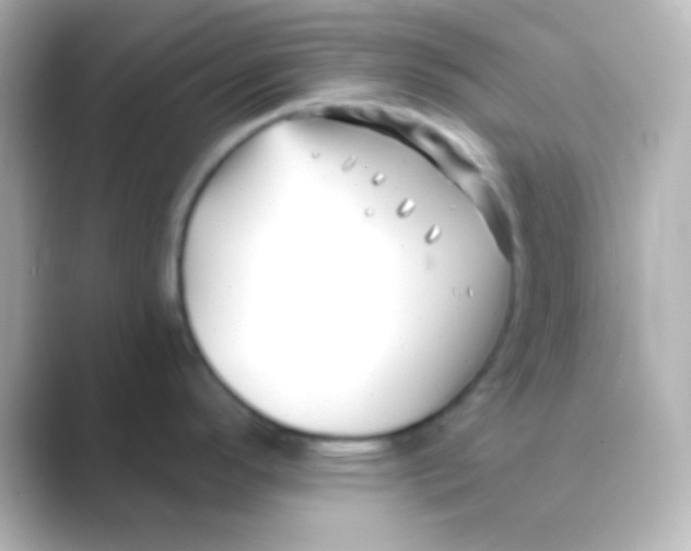 X0000088711296200706211956