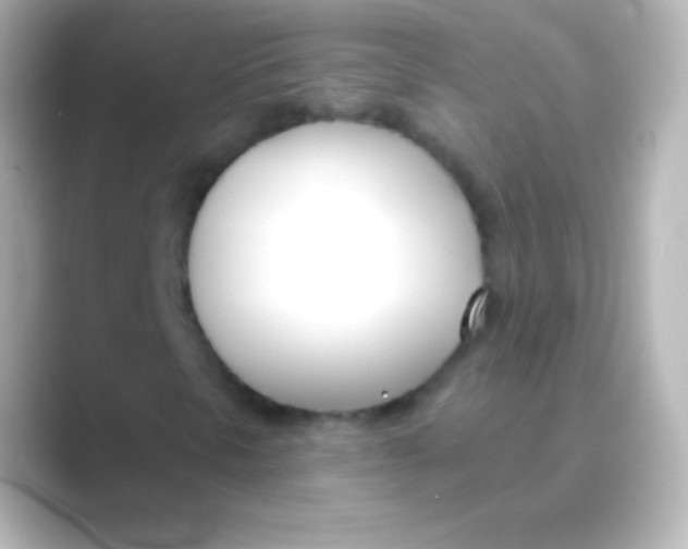 X0000088711297200706211955