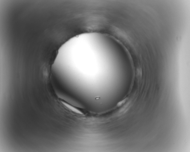 X0000088711300200706211955