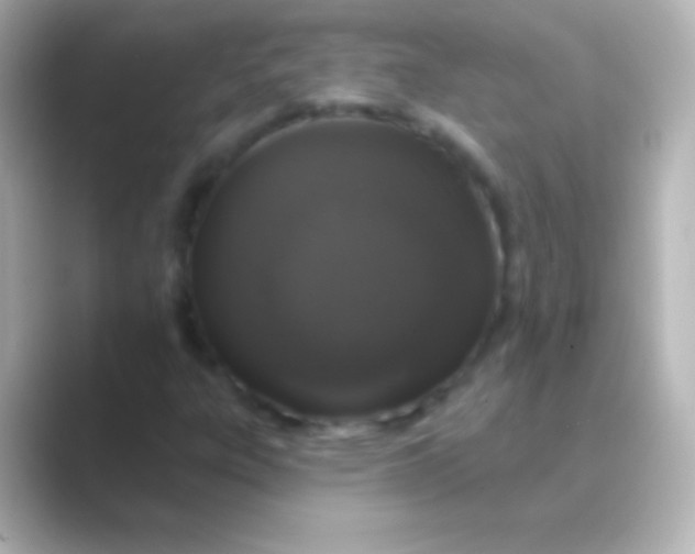 X0000088711303200706211955