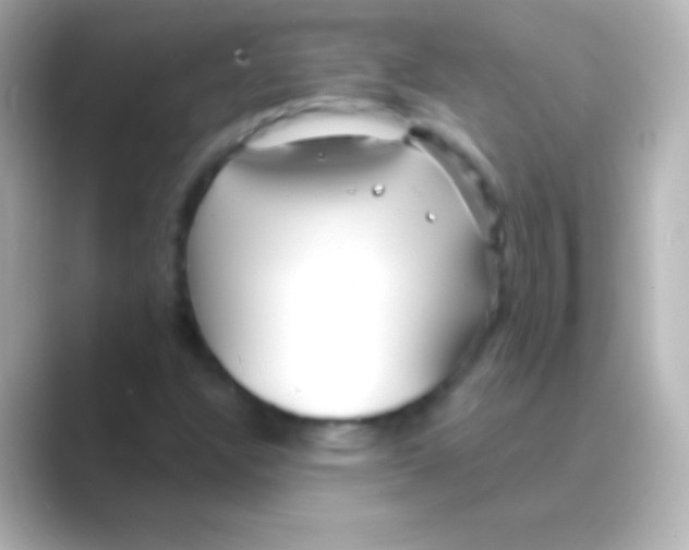 X0000088711304200706211955