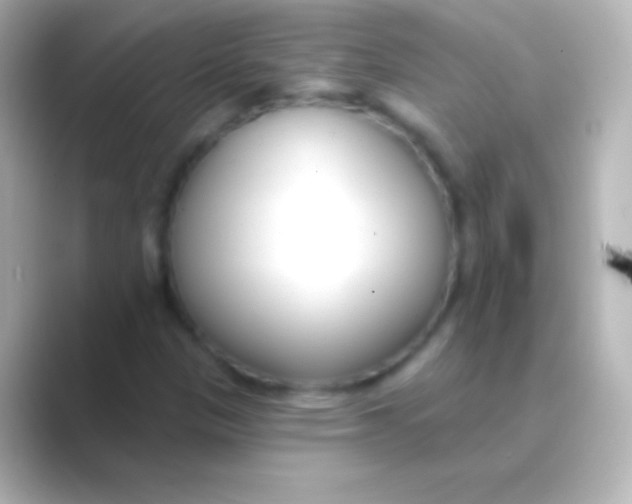 X0000088711305200706211955