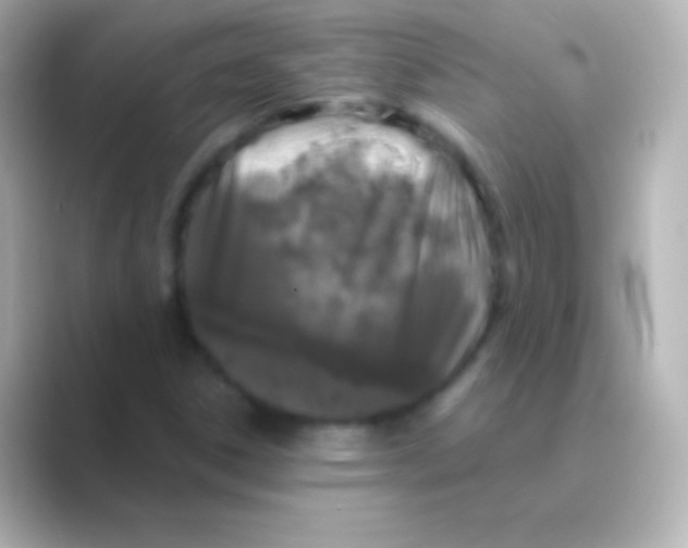 X0000088711306200706211955