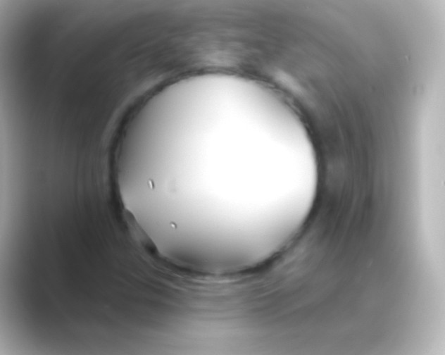 X0000088711307200706211955