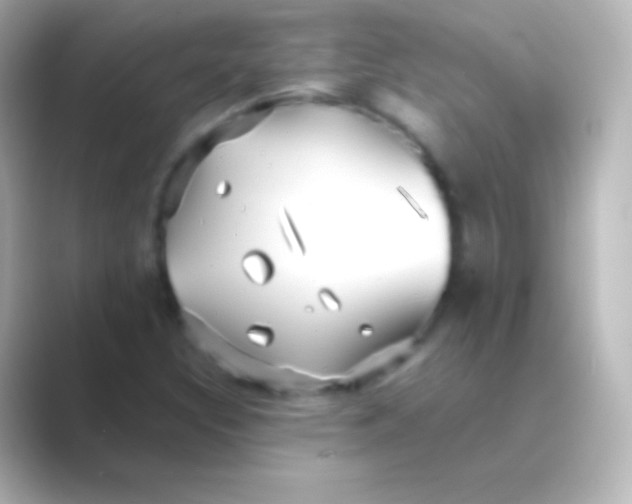 X0000088711308200706211955