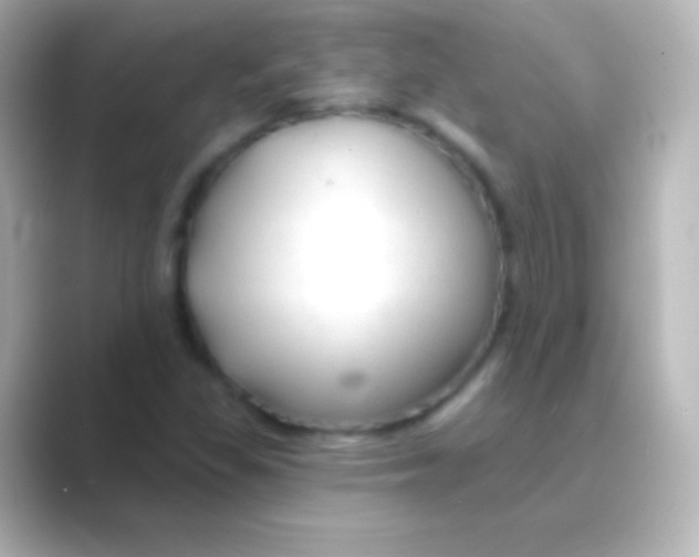 X0000088711309200706211955