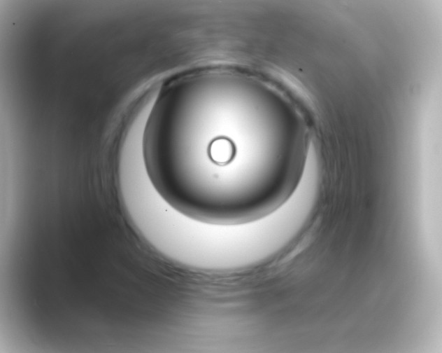 X0000088711310200706211955