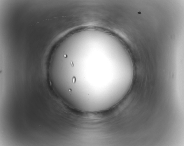 X0000088711311200706211955