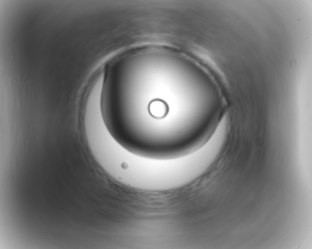 X0000088711312200706211955