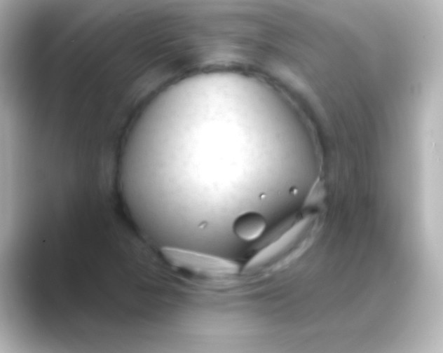 X0000088711313200706211955