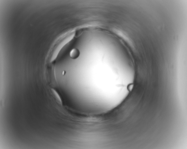 X0000088711316200706211955