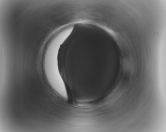 X0000088711319200706211955