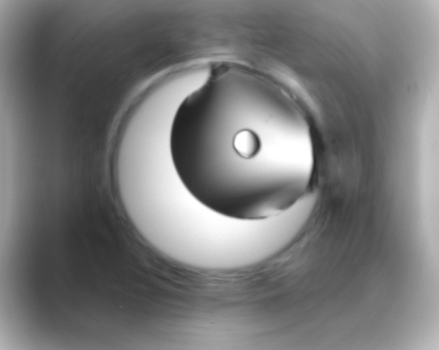 X0000088711320200706211955