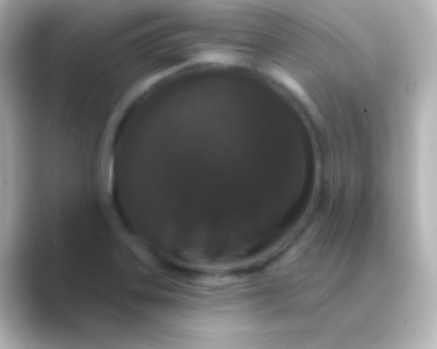 X0000088711323200706211955