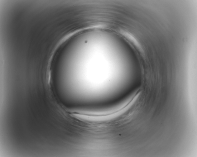 X0000088711324200706211955