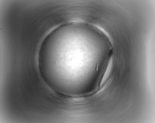 X0000088711325200706211955