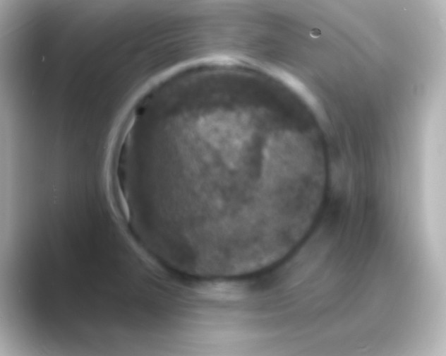 X0000088711327200706211956