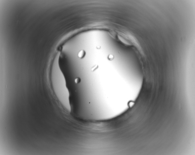 X0000088711328200706211956