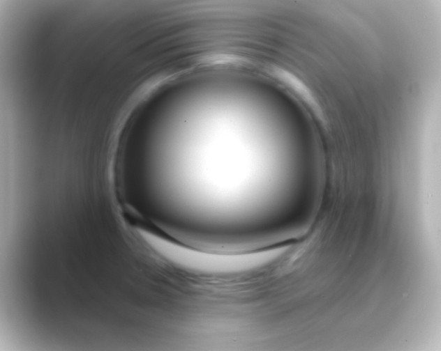 X0000088711330200706211956