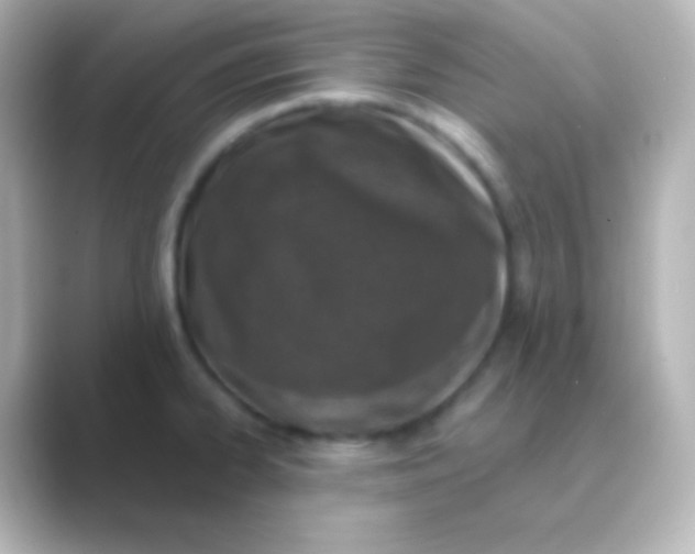 X0000088711334200706211956