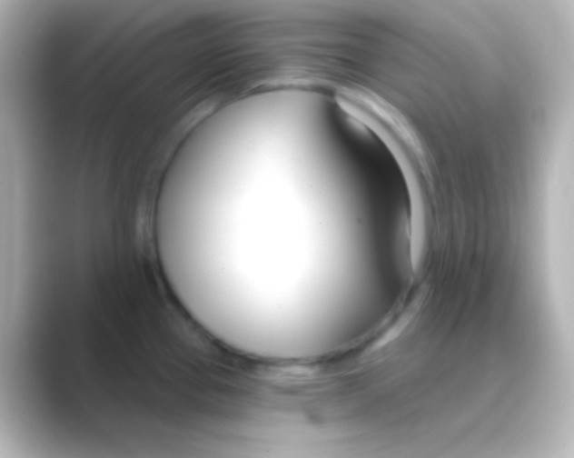 X0000088711337200706211956