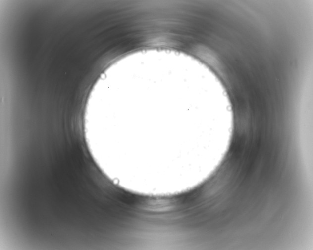 X0000088711338200706211956