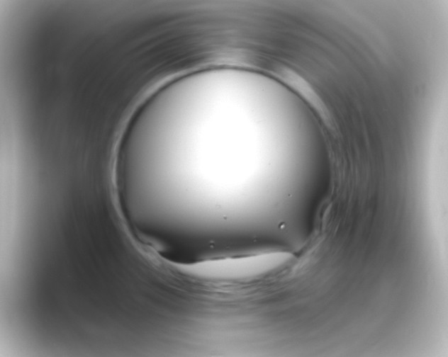 X0000088711339200706211956