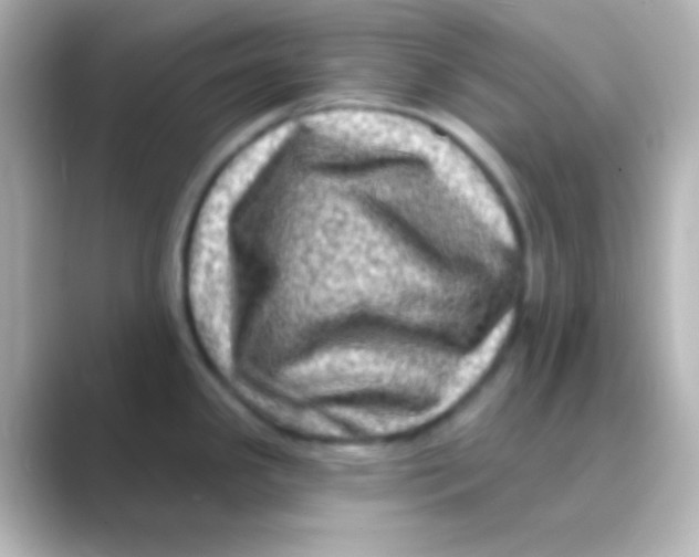 X0000088711341200706211956