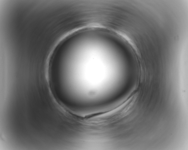 X0000088711342200706211956