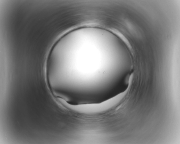 X0000088711343200706211956