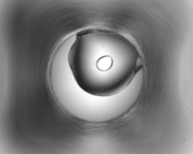 X0000088711344200706211956