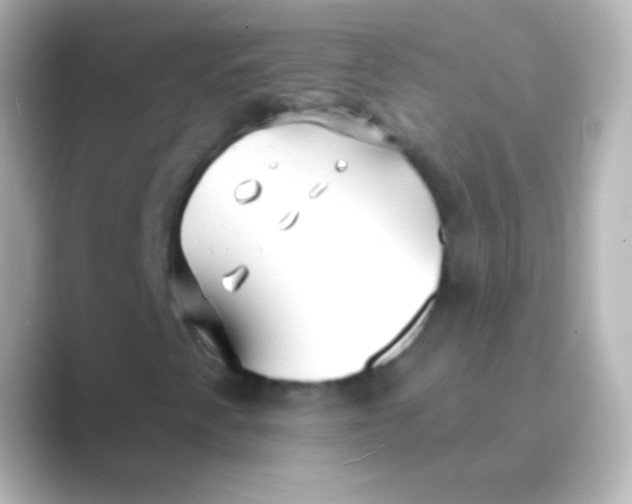 X0000088711345200706211955