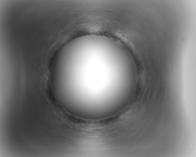 X0000088711349200706211955