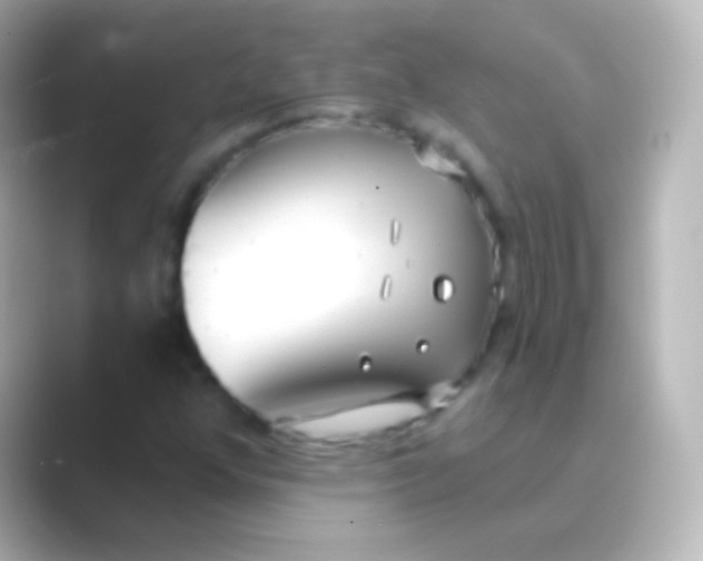 X0000088711352200706211955