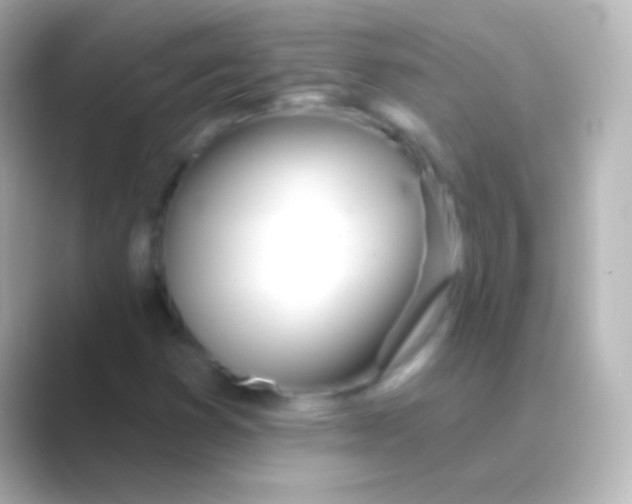 X0000088711353200706211955