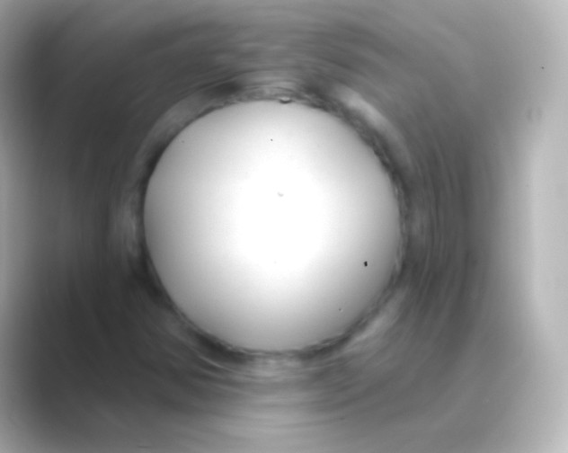 X0000088711354200706211955