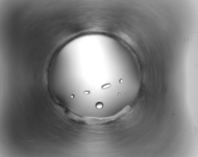 X0000088711356200706211955