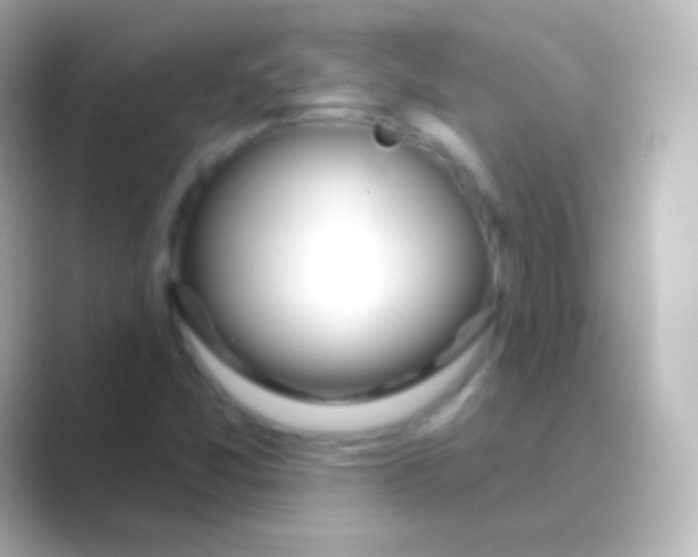 X0000088711357200706211955