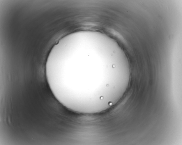 X0000088711362200706211955